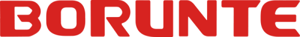 Logo BORUNTE